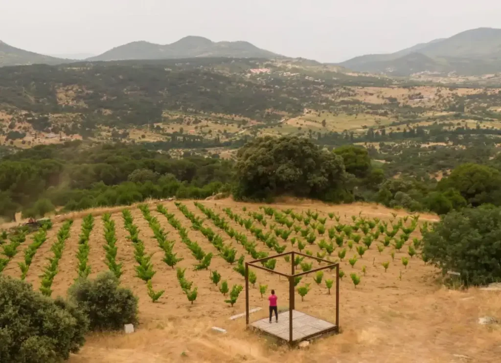 Alma Carraovejas maranones