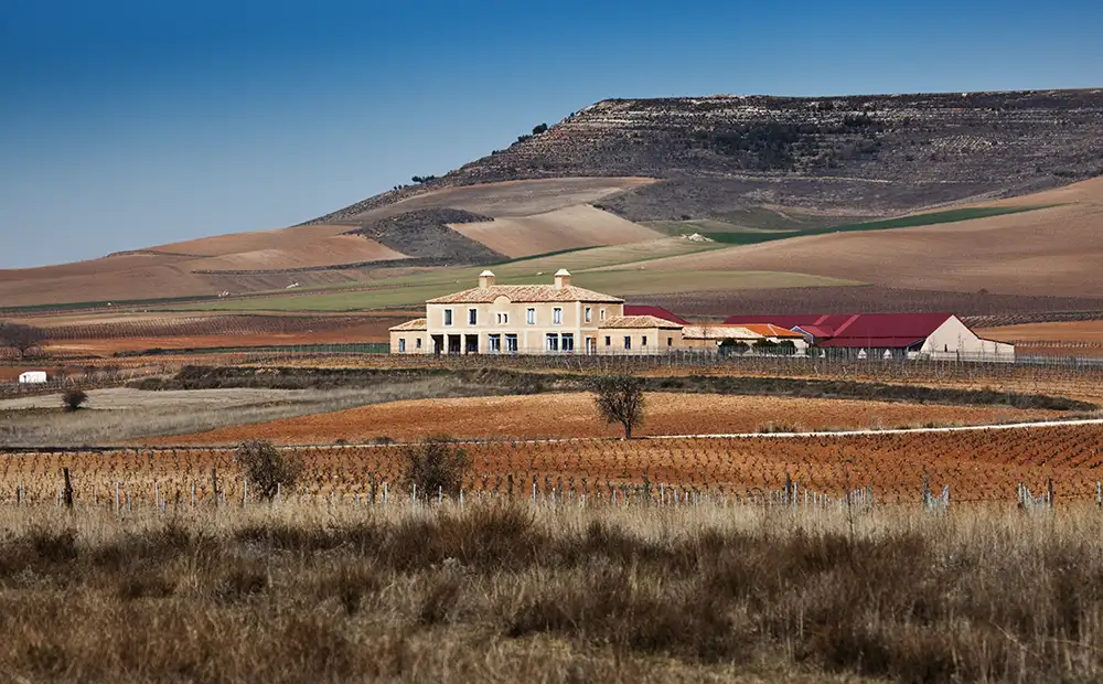 Alonso del Yerro Casa y bodega