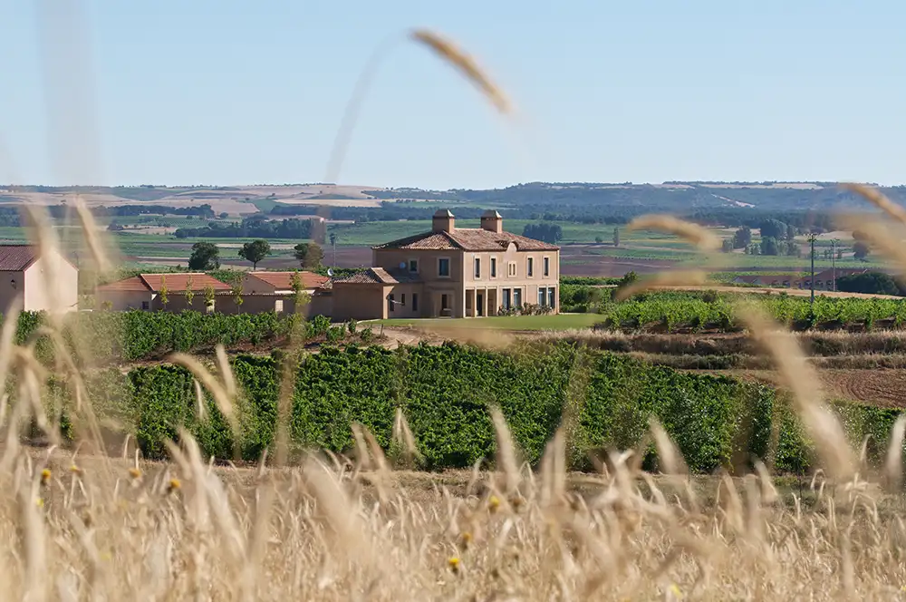 Alonso del Yerro Casa y bodega