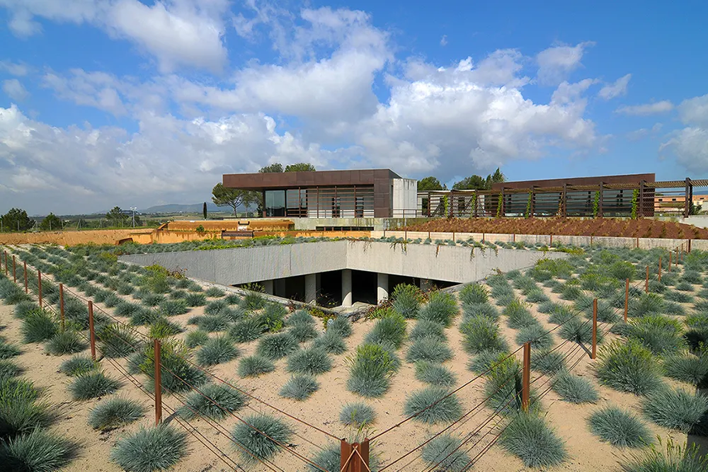 Bodega Familia Torres 2