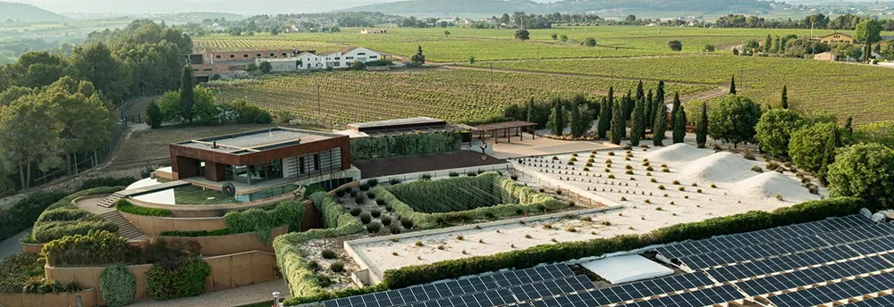 Bodega Familia Torres Dron