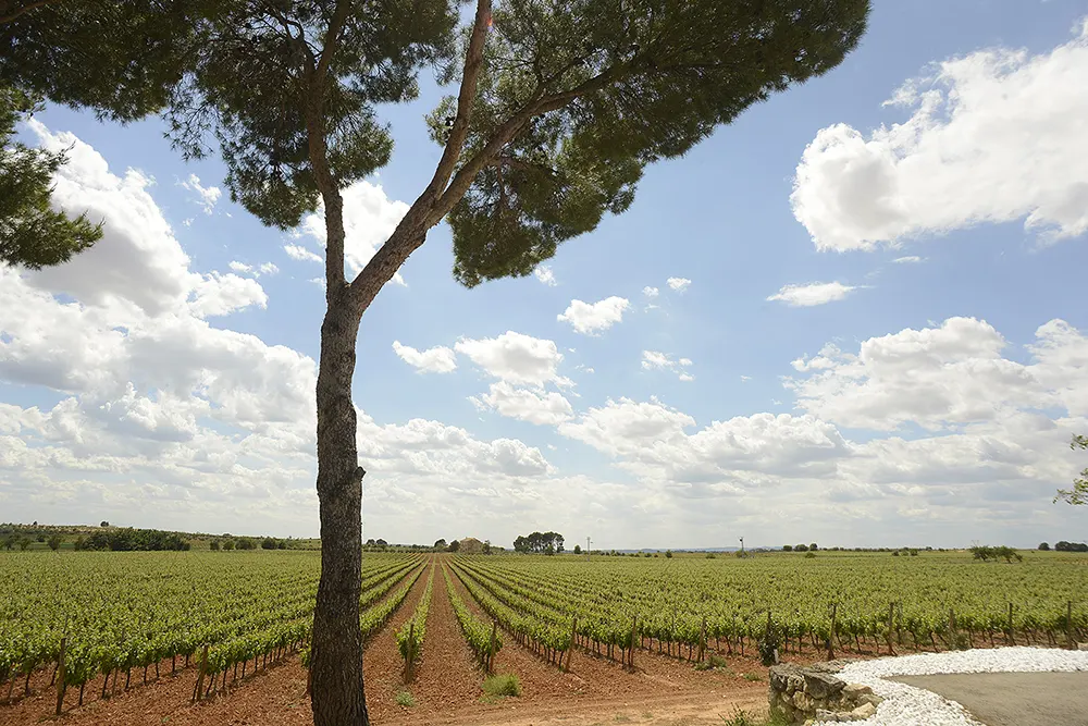 Bodega Hispano Suizas