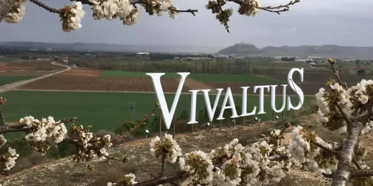 Bodega Vivaltus Viñedos