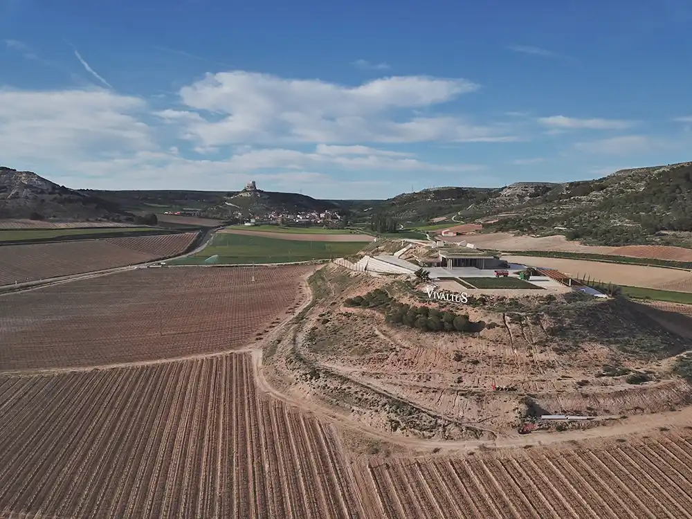Bodega Vivaltus extensión viñedos