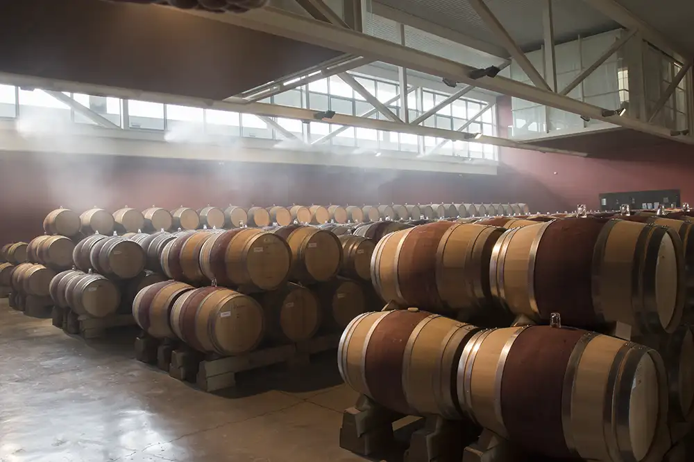 Bodegas Roda Barricas nave04