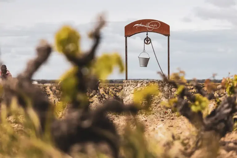 Bodegas San Román viñedos y pozo 3