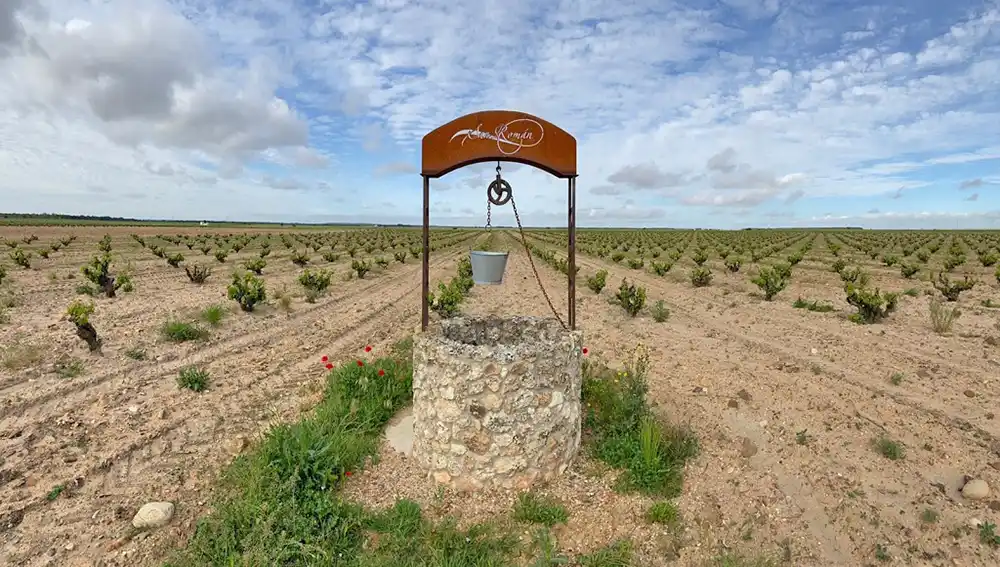 Bodegas San Román viñedos y pozo