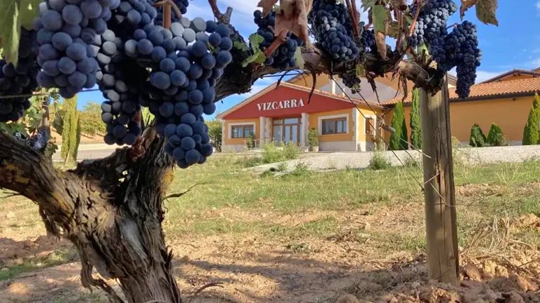 Bodegas-Vizcarra-fachada-uvas