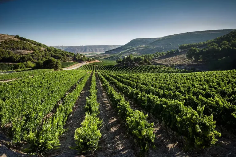 Conde de San Cristóbal Orografia