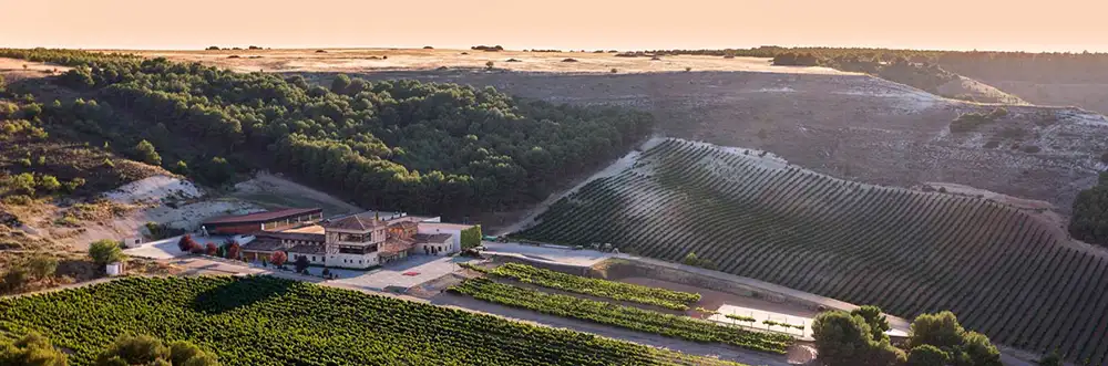 Conde de San Cristóbal bodegas