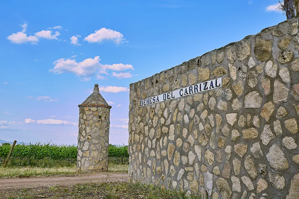 Dehesa del Carrizal 4