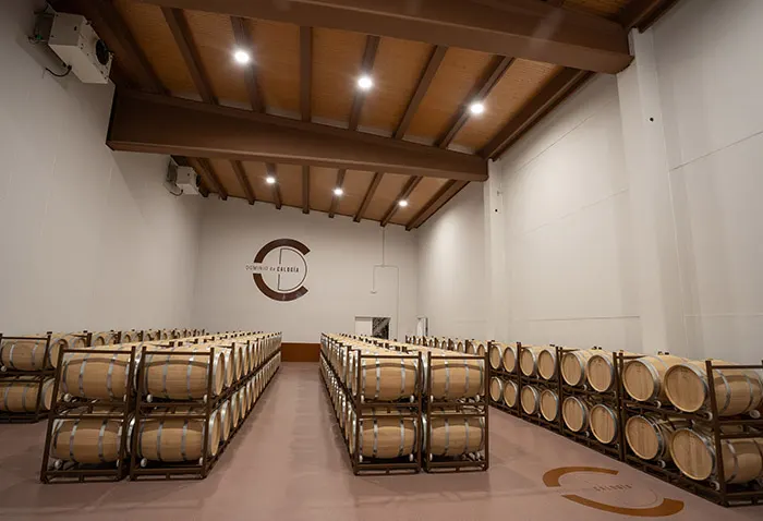 Dominio-De-Calogia-Bodega-2