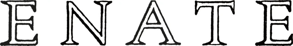 Enate LOGO