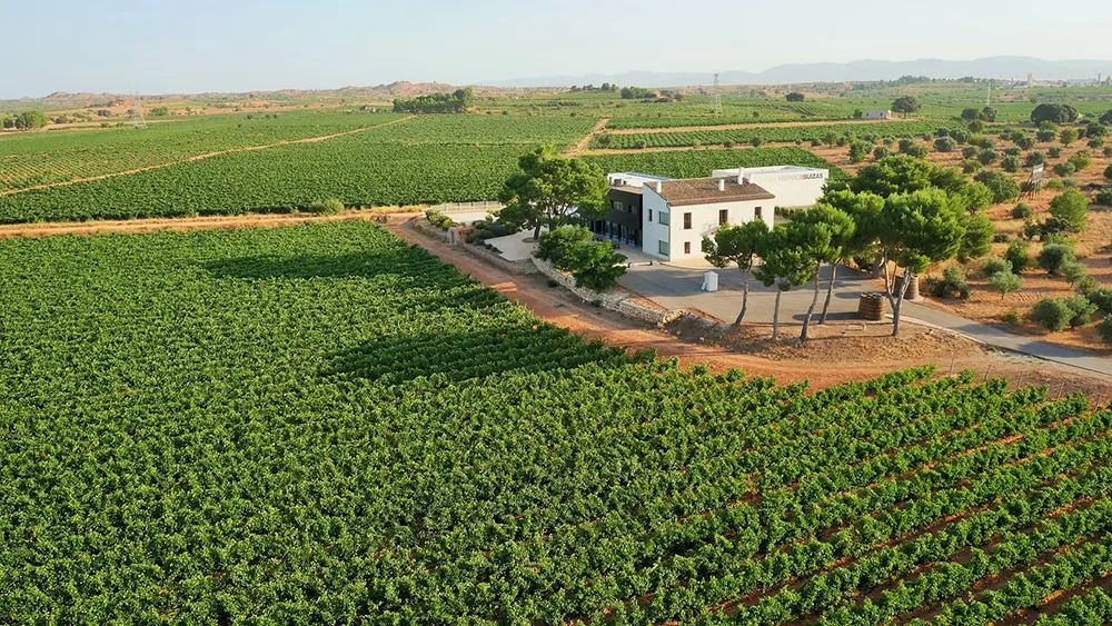 Foto Aerea Bodega Hispano Suizas