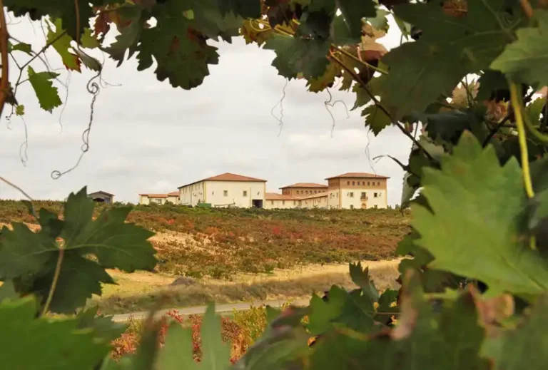 Pagos-de-Anguix-Fachada