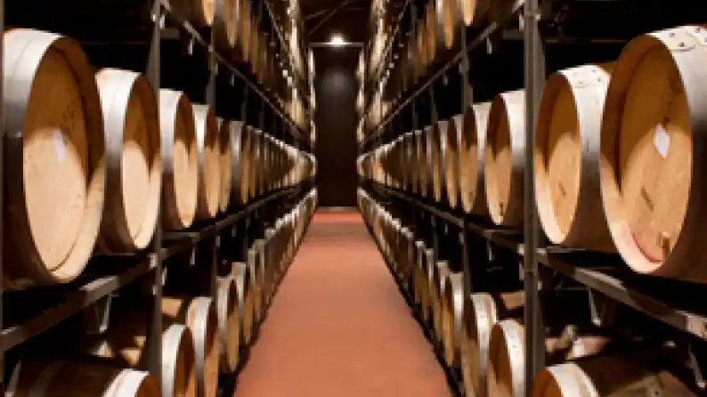 Palacios Remondo Barricas