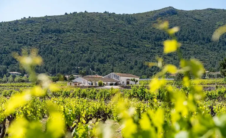 Pepe Mendoza Casa Agrícola viñedos
