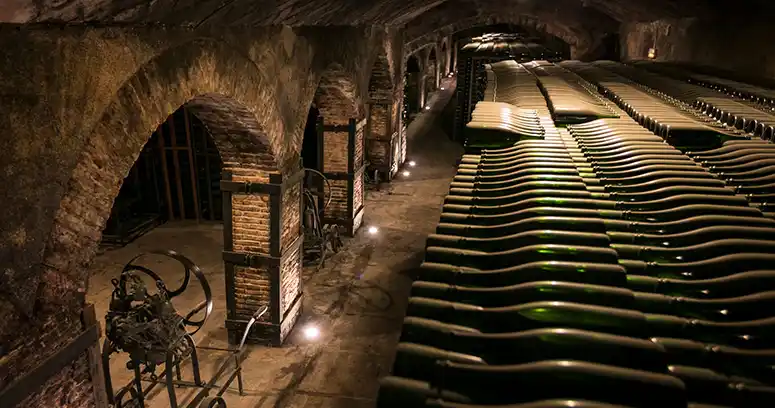Torelló Celler