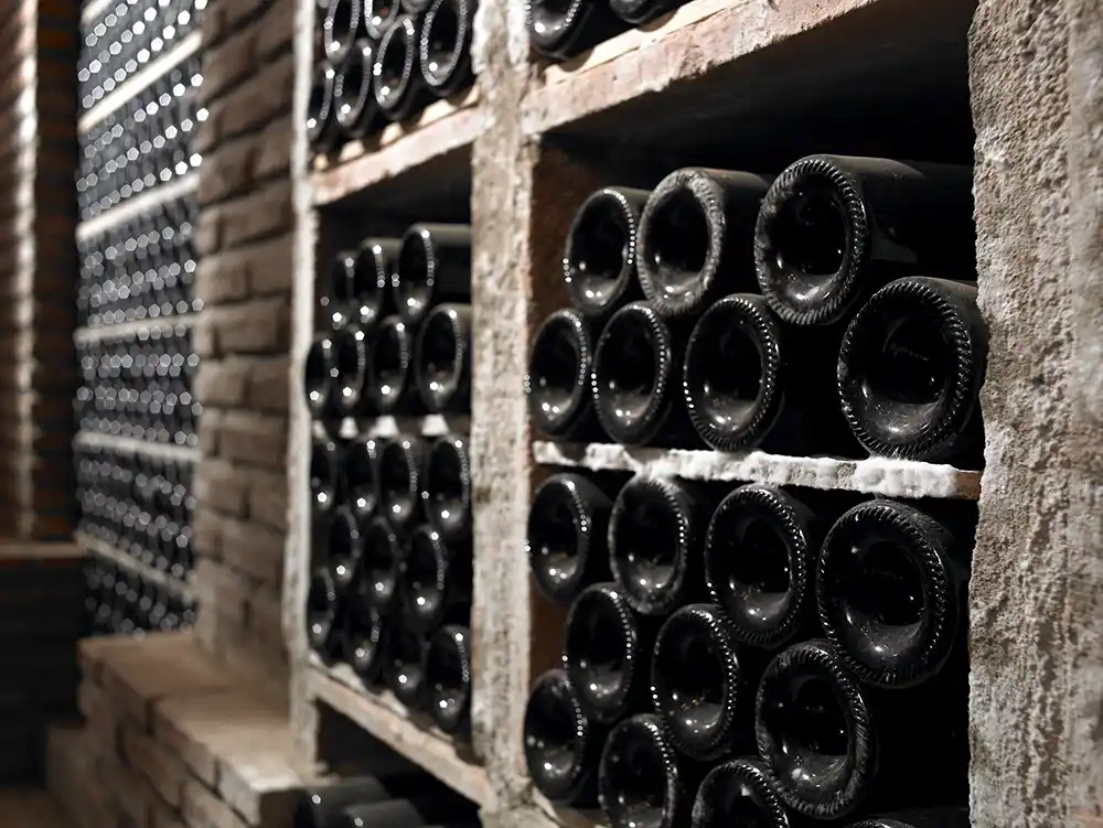 Yllera bodega boetellas