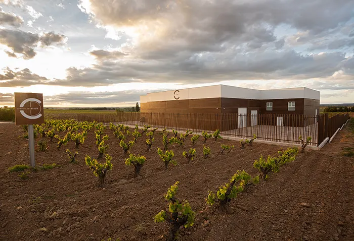 bodega dominio de calogia
