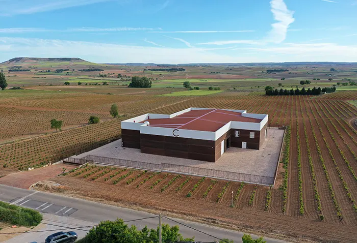 bodega dominio de calogia 2