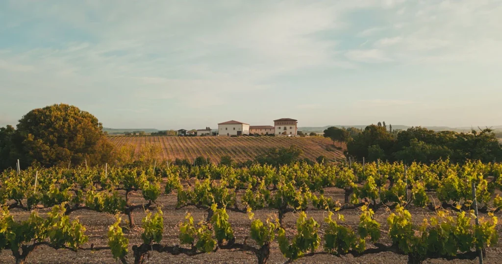 suterra-pagos-de-anguix-dialogos-paisaje-blog