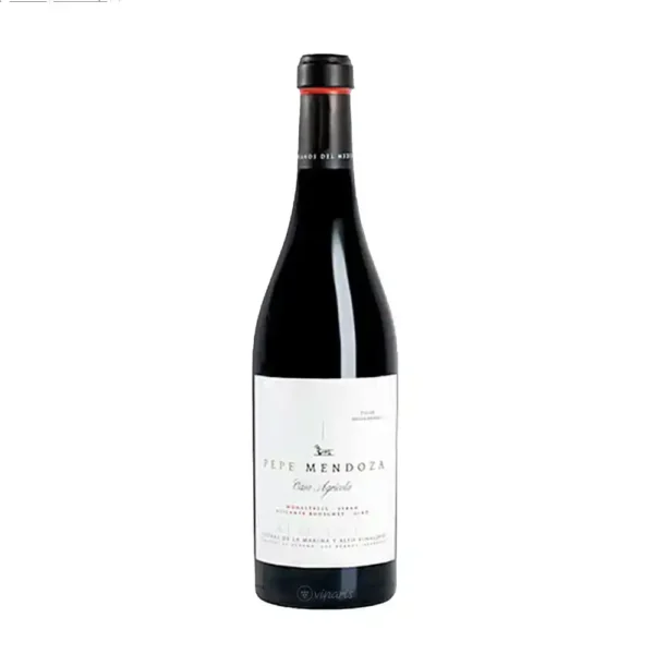 casa-agricola-tinto-2022-pepe-mendoza-alicante 2